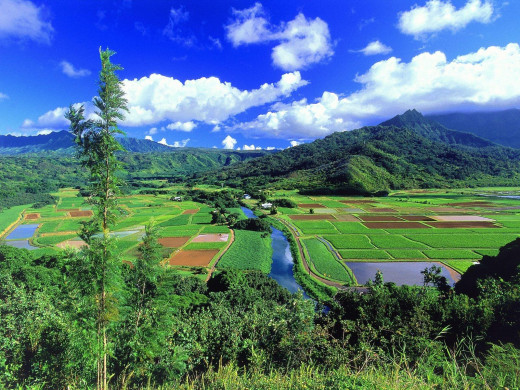 25836 (a): :1600x1200